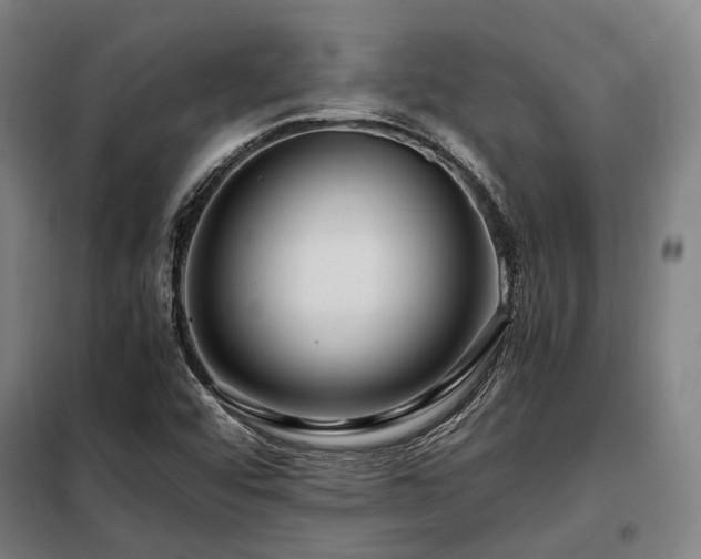 X0000098121456200804041356