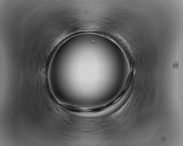X0000098121457200804041356