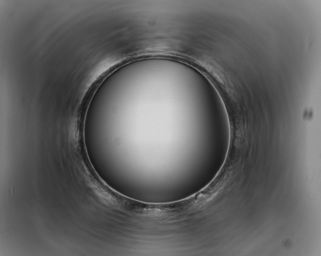 X0000098121458200804041356