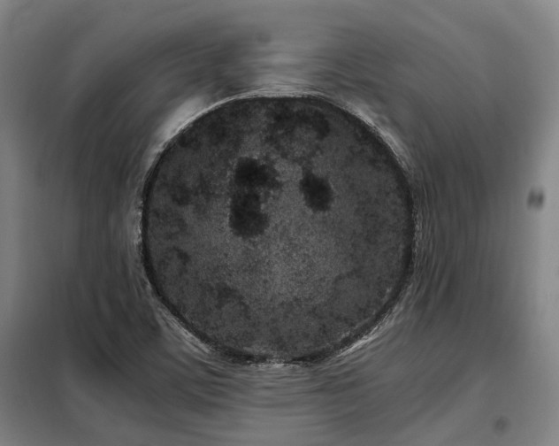 X0000098121459200804041356