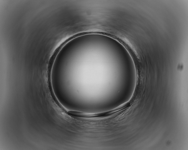 X0000098121460200804041356