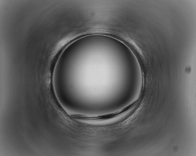 X0000098121461200804041356