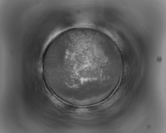 X0000098121462200804041356