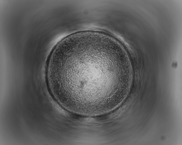 X0000098121463200804041356