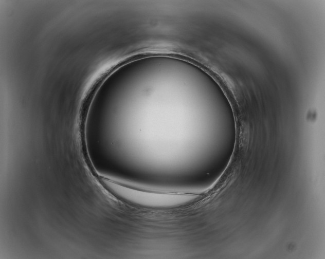 X0000098121464200804041356