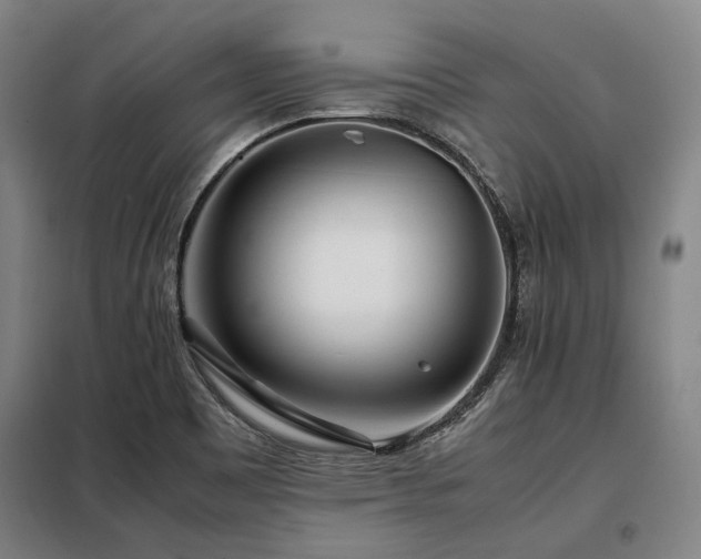 X0000098121465200804041356