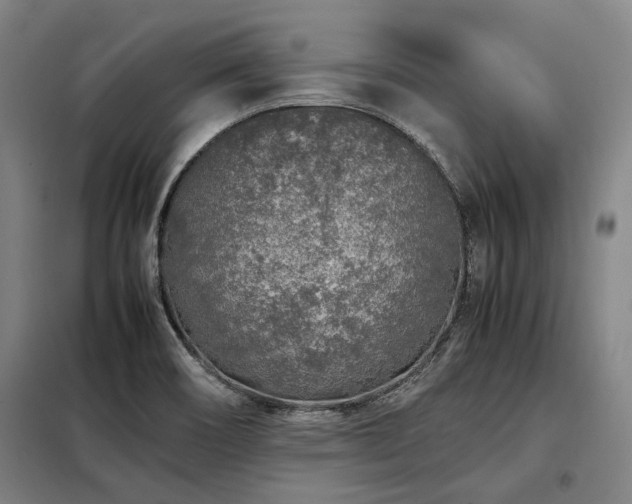 X0000098121466200804041356