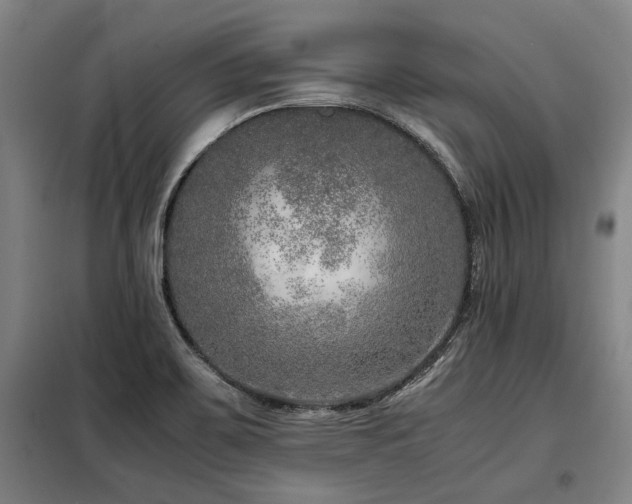 X0000098121467200804041356