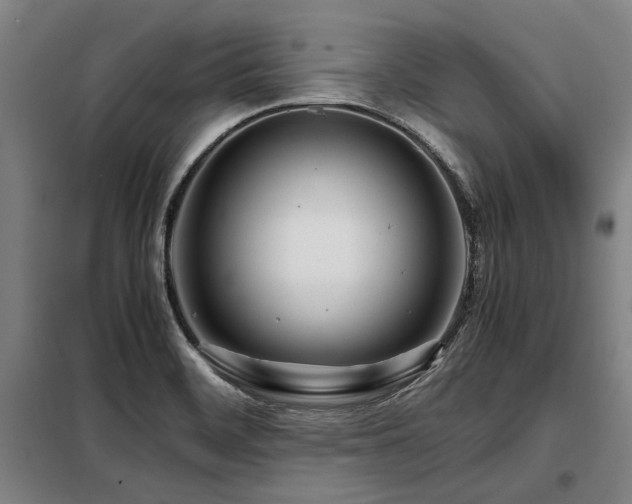 X0000098121468200804041356
