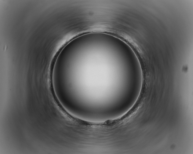 X0000098121469200804041356