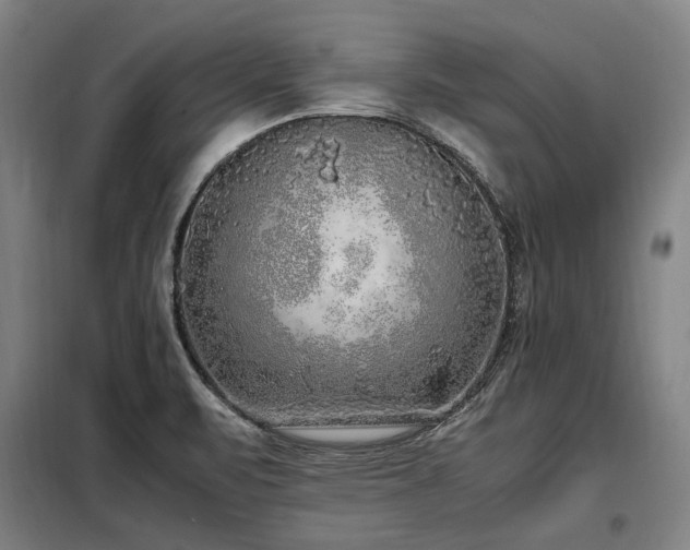 X0000098121471200804041356