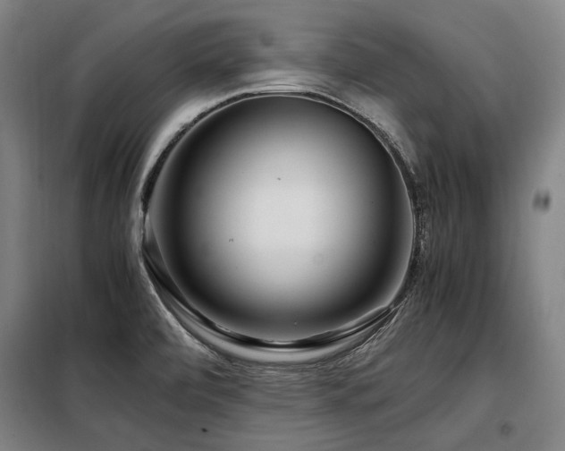 X0000098121472200804041356
