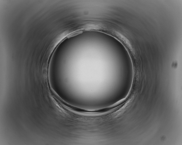 X0000098121473200804041356