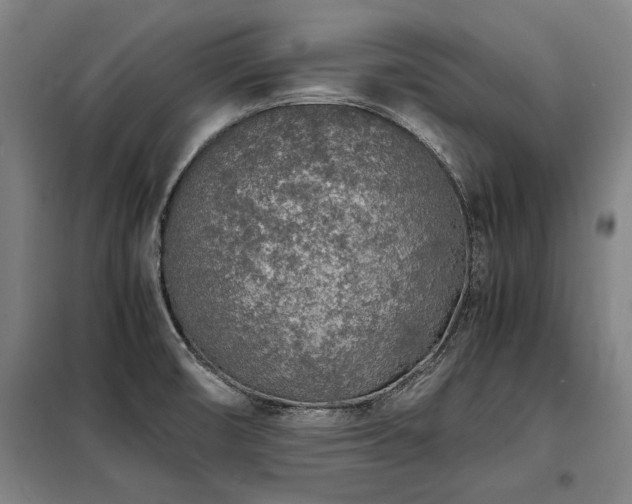 X0000098121474200804041356
