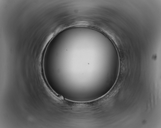 X0000098121475200804041356