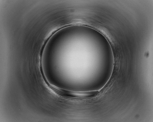 X0000098121476200804041356