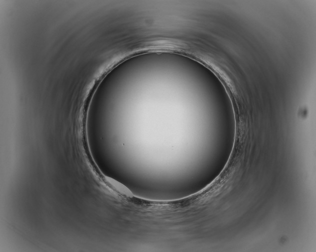 X0000098121477200804041356