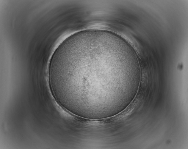 X0000098121478200804041356