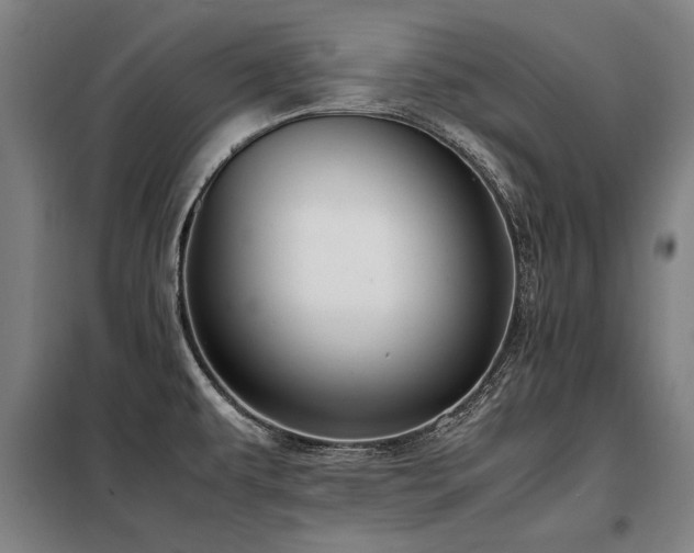 X0000098121479200804041356