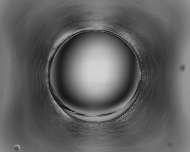 X0000098121480200804041356