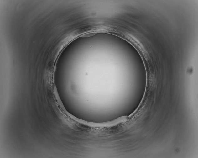 X0000098121481200804041356