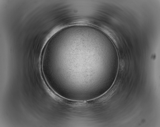 X0000098121482200804041356