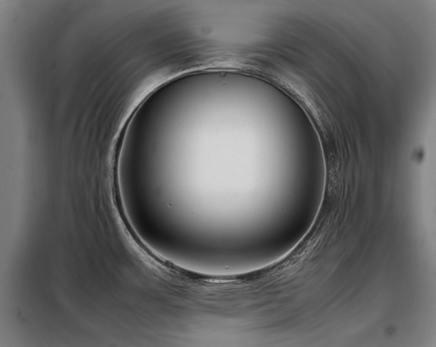 X0000098121483200804041356