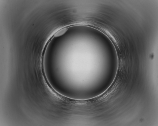 X0000098121484200804041356