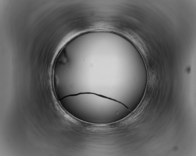 X0000098121486200804041356