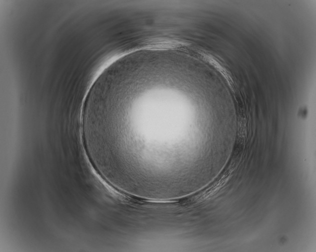 X0000098121487200804041356