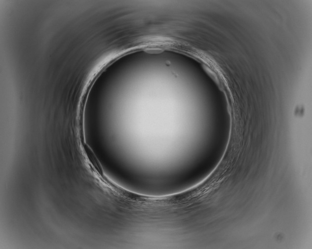 X0000098121488200804041356