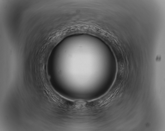 X0000098121489200804041355