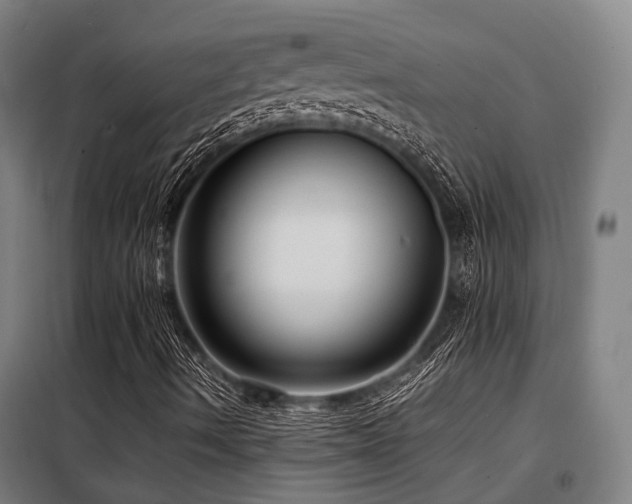X0000098121490200804041355