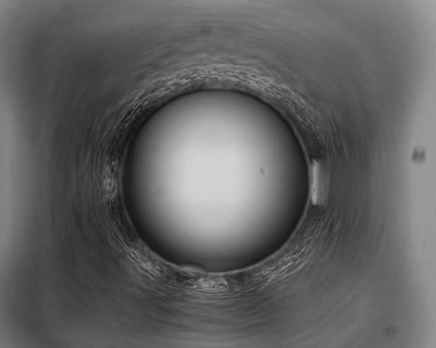 X0000098121491200804041355