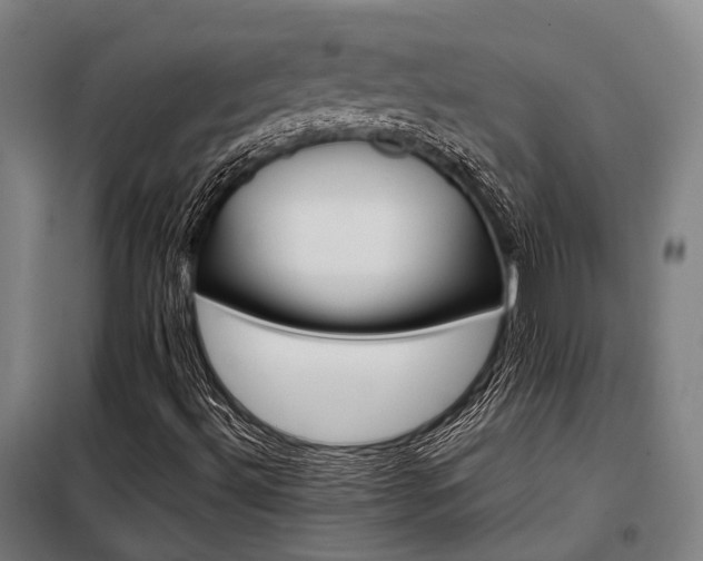 X0000098121492200804041355