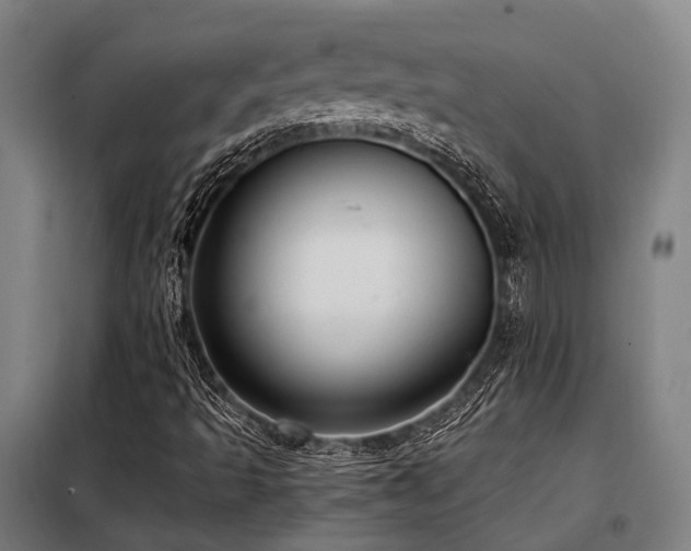 X0000098121493200804041355