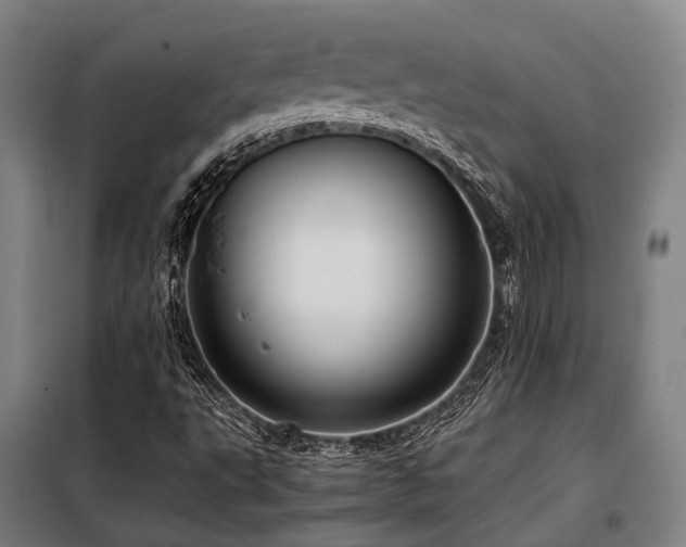 X0000098121495200804041355