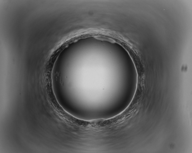 X0000098121496200804041355