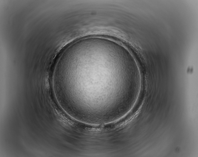 X0000098121497200804041355