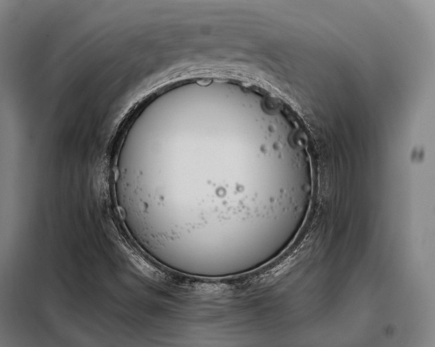 X0000098121498200804041355