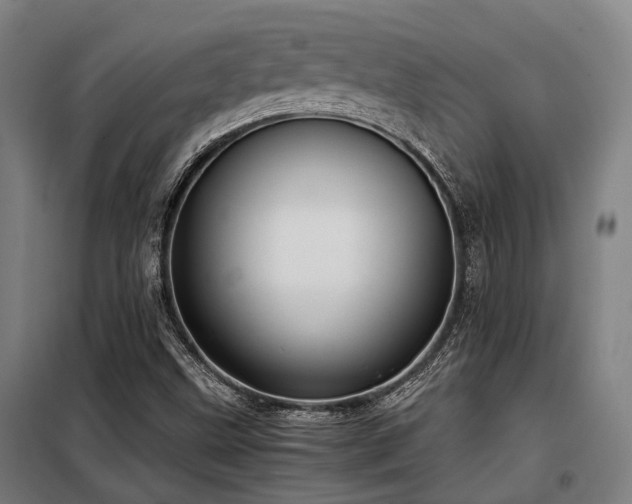 X0000098121499200804041355