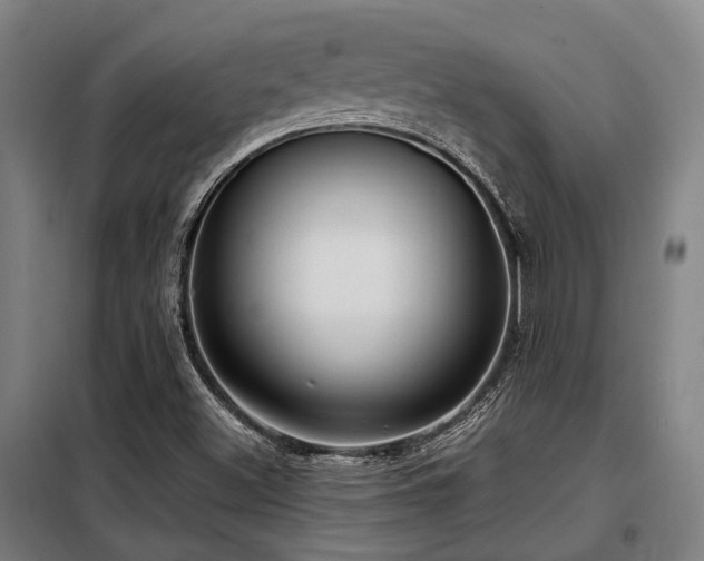 X0000098121500200804041355