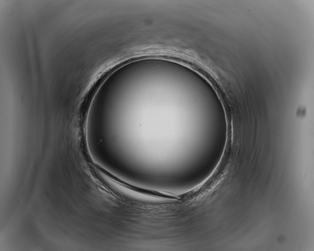 X0000098121501200804041355