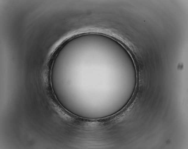 X0000098121502200804041355