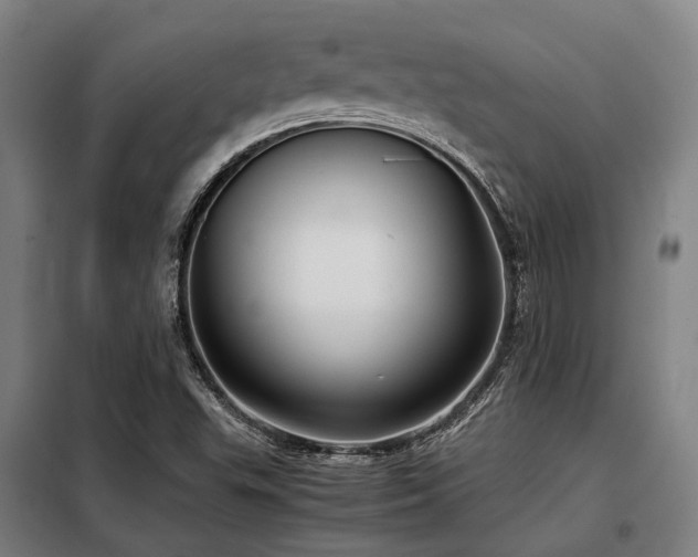 X0000098121503200804041355