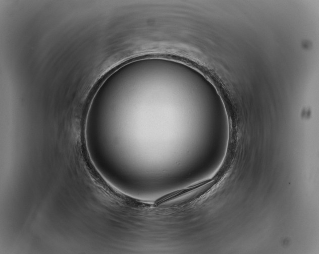 X0000098121505200804041356