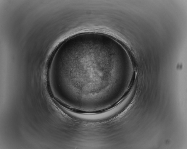 X0000098121506200804041356