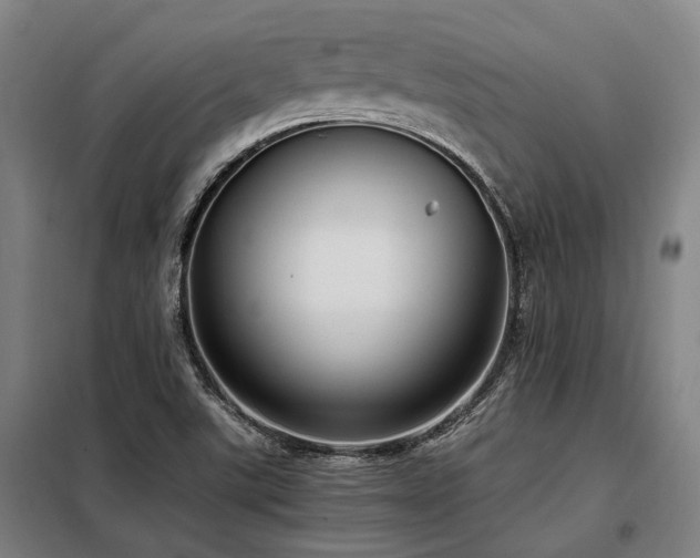 X0000098121507200804041356