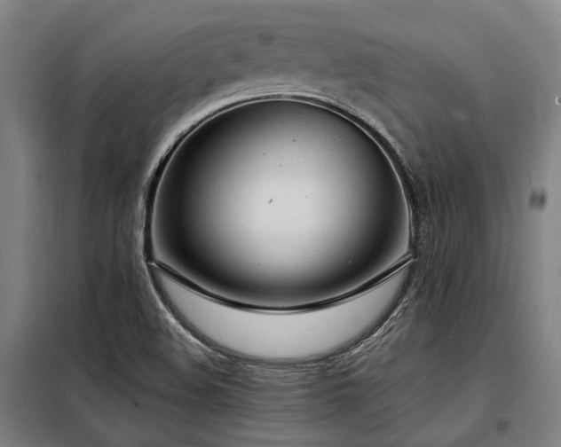 X0000098121508200804041356