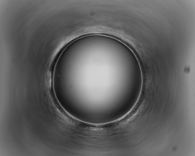 X0000098121509200804041356